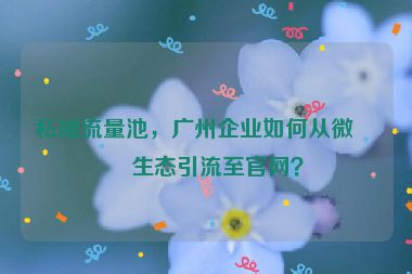 私域流量池，廣州企業(yè)如何從微信生態(tài)引流至官網(wǎng)？