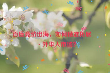 百度競價出海，如何精準拓展海外華人市場？