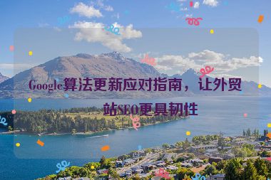 Google算法更新應(yīng)對指南，讓外貿(mào)網(wǎng)站SEO更具韌性