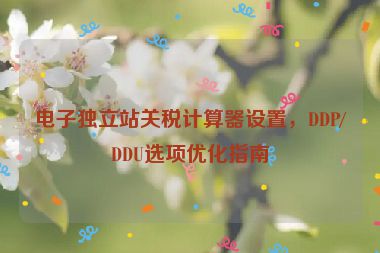 電子獨立站關(guān)稅計算器設(shè)置，DDP/DDU選項優(yōu)化指南