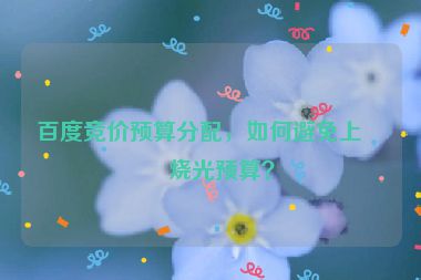 百度競價預(yù)算分配，如何避免上午燒光預(yù)算？