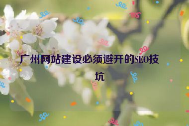 廣州網(wǎng)站建設(shè)必須避開的SEO技術(shù)坑