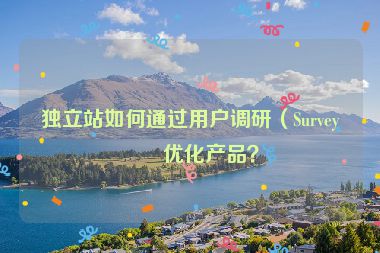 獨立站如何通過用戶調(diào)研（Survey）優(yōu)化產(chǎn)品？