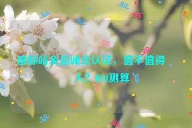 國際站金品誠企認(rèn)證，值不值得投入？ROI測算