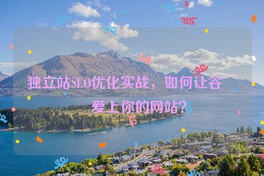 獨(dú)立站SEO優(yōu)化實(shí)戰(zhàn)，如何讓谷歌愛上你的網(wǎng)站？