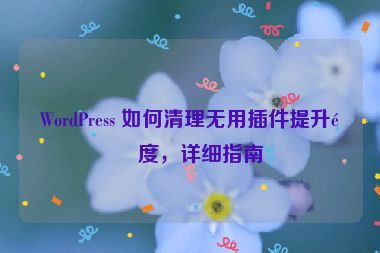 WordPress 如何清理無用插件提升速度，詳細(xì)指南