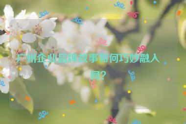 廣州企業(yè)品牌故事如何巧妙融入官網(wǎng)？