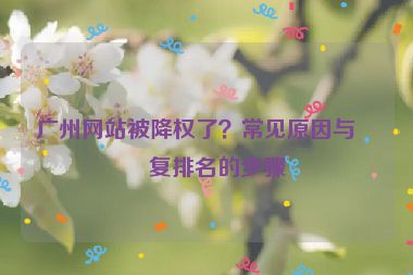 廣州網(wǎng)站被降權(quán)了？常見原因與恢復(fù)排名的步驟