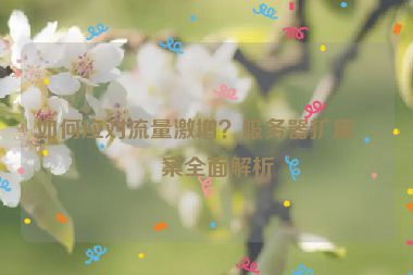 如何應(yīng)對流量激增？服務(wù)器擴展方案全面解析