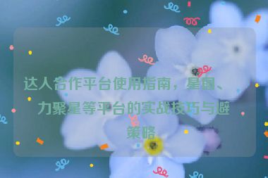 達(dá)人合作平臺(tái)使用指南，星圖、磁力聚星等平臺(tái)的實(shí)戰(zhàn)技巧與避坑策略