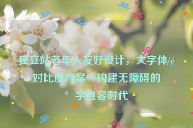 獨(dú)立站老年人友好設(shè)計(jì)，大字體/高對(duì)比度方案—構(gòu)建無障礙的數(shù)字包容時(shí)代