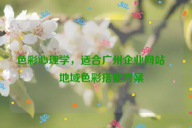 色彩心理學，適合廣州企業(yè)網(wǎng)站的地域色彩搭配方案