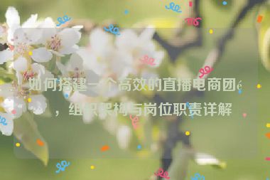 如何搭建一個高效的直播電商團(tuán)隊，組織架構(gòu)與崗位職責(zé)詳解