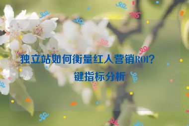 獨(dú)立站如何衡量紅人營(yíng)銷(xiāo)ROI？關(guān)鍵指標(biāo)分析
