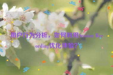 用戶行為分析，如何利用Session Recording優(yōu)化體驗？