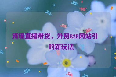 跨境直播帶貨，外貿(mào)B2B網(wǎng)站引流的新玩法