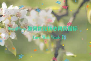 WordPress 如何優(yōu)化核心網(wǎng)頁指標（Core Web Vitals）