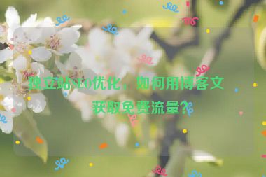 獨(dú)立站SEO優(yōu)化，如何用博客文章獲取免費(fèi)流量？