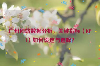 廣州網(wǎng)站數(shù)據(jù)分析，關(guān)鍵指標(biāo)（KPI）如何設(shè)定與追蹤？
