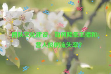 團(tuán)隊(duì)文化建設(shè)，如何降低主播和運(yùn)營人員的流失率？
