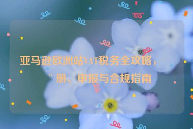 亞馬遜歐洲站VAT稅務(wù)全攻略，注冊、申報與合規(guī)指南