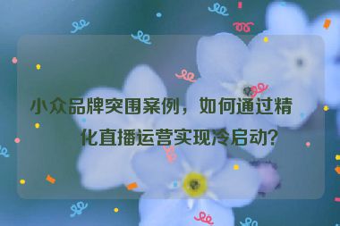 小眾品牌突圍案例，如何通過(guò)精細(xì)化直播運(yùn)營(yíng)實(shí)現(xiàn)冷啟動(dòng)？