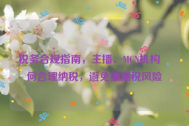 稅務(wù)合規(guī)指南，主播、MCN機(jī)構(gòu)如何合理納稅，避免偷漏稅風(fēng)險(xiǎn)？