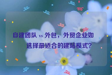 自建團(tuán)隊(duì) vs 外包，外貿(mào)企業(yè)如何選擇最適合的建站模式？