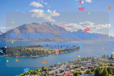 獨(dú)立站物流優(yōu)化，如何選擇最劃算的國(guó)際快遞？