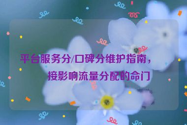 平臺(tái)服務(wù)分/口碑分維護(hù)指南，直接影響流量分配的命門