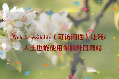 Web Accessibility（可訪問性）讓殘障人士也能使用你的外貿(mào)網(wǎng)站