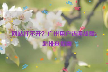 網(wǎng)站打不開？廣州用戶訪問故障自助排查指南