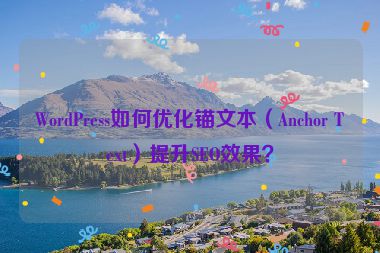 WordPress如何優(yōu)化錨文本（Anchor Text）提升SEO效果？