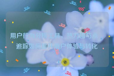 用戶行為分析工具，熱力圖與點(diǎn)擊追蹤如何提升用戶體驗(yàn)與轉(zhuǎn)化率