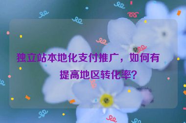 獨(dú)立站本地化支付推廣，如何有效提高地區(qū)轉(zhuǎn)化率？