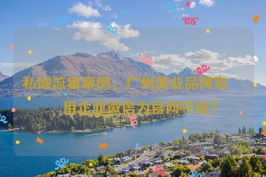 私域流量案例，廣州美業(yè)品牌如何用企業(yè)微信為官網(wǎng)導(dǎo)流？