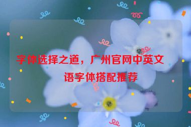 字體選擇之道，廣州官網(wǎng)中英文雙語(yǔ)字體搭配推薦