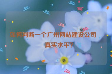 如何判斷一個廣州網(wǎng)站建設(shè)公司的真實水平？