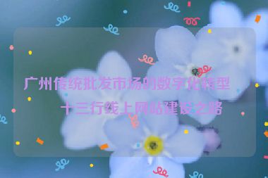 廣州傳統(tǒng)批發(fā)市場的數(shù)字化轉(zhuǎn)型，十三行線上網(wǎng)站建設之路