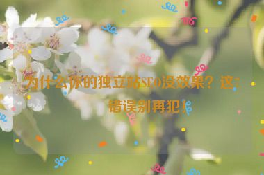 為什么你的獨(dú)立站SEO沒效果？這7個(gè)錯(cuò)誤別再犯！