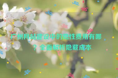 廣州網(wǎng)站建設(shè)中的隱性費(fèi)用有哪些？全面解析隱藏成本