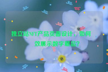 獨(dú)立站NFT產(chǎn)品頁(yè)面設(shè)計(jì)，如何有效展示數(shù)字藏品？