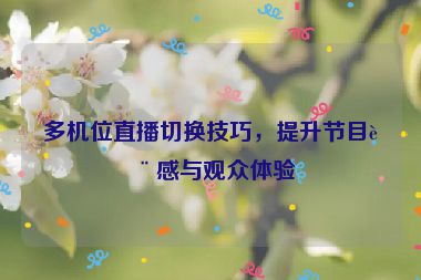 多機(jī)位直播切換技巧，提升節(jié)目質(zhì)感與觀眾體驗(yàn)