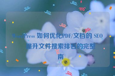 WordPress 如何優(yōu)化PDF/文檔的 SEO？提升文件搜索排名的完整指南