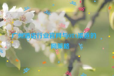 廣州酒店行業(yè)官網(wǎng)與OTA渠道的協(xié)同策略