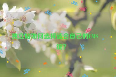 獨立站如何選擇適合自己的CMS系統(tǒng)？