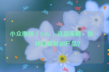 小眾市場（Niche）選品策略，如何找到高利潤產品？