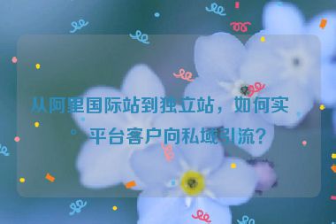 從阿里國際站到獨立站，如何實現(xiàn)平臺客戶向私域引流？