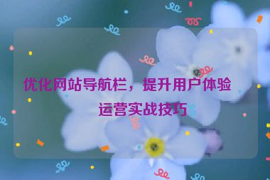 優(yōu)化網(wǎng)站導航欄，提升用戶體驗，運營實戰(zhàn)技巧