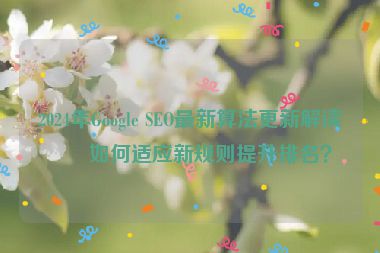 2024年Google SEO最新算法更新解讀，如何適應(yīng)新規(guī)則提升排名？
